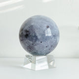 6" Mova Globe Moon (Buy Now For Late November Delivery)
