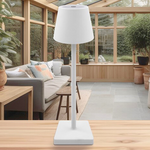 Contemporary Cordless Luna Lamp (Rechargeable)