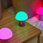 Alice Mushroom Light (Rechargeable)