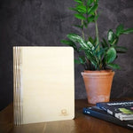 LED Smart Book Light - Gingko Electronics