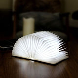 Mini LED Smart Book Light - Gingko Electronics