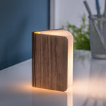 Mini LED Smart Book Light - Gingko Electronics