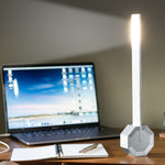 Octagon One Desk Lamp - Gingko Electronics