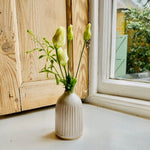 White Ceramic Grooved Bud Vases (Set of 3)