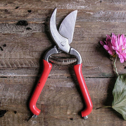 Pocket Pruners